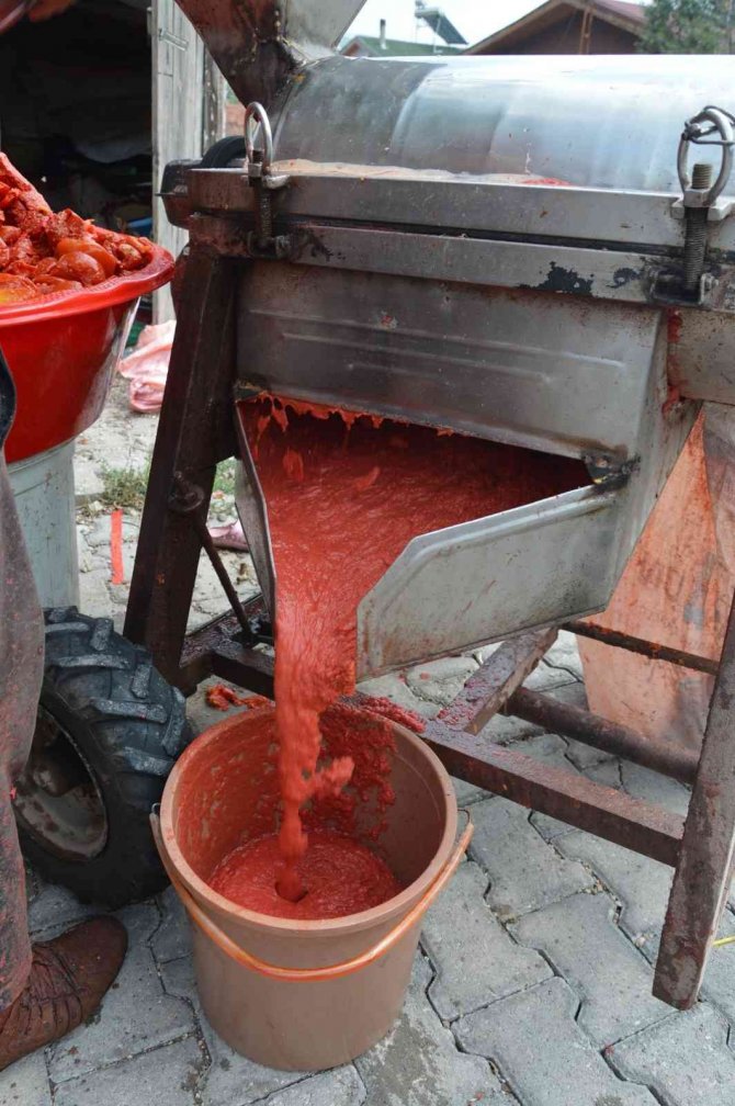 Geleneksel Yöntemlerle Salça Yapımı