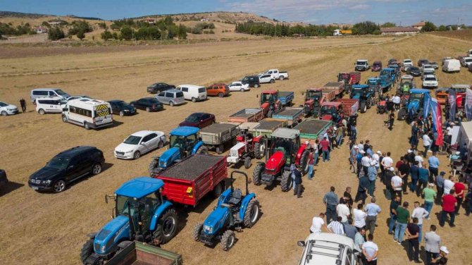 Kahramankazan Ovası’nı Sarıya Boyayan Ayçiçeğinde Hasat Başladı