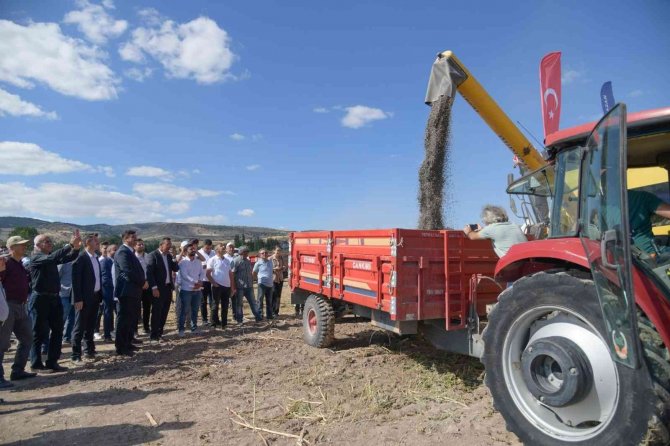 Kahramankazan Ovası’nı Sarıya Boyayan Ayçiçeğinde Hasat Başladı