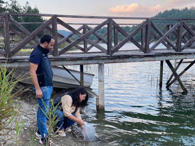 Karabük’te 20 Bin Yavru Sazan Balık Gölle Buluştu
