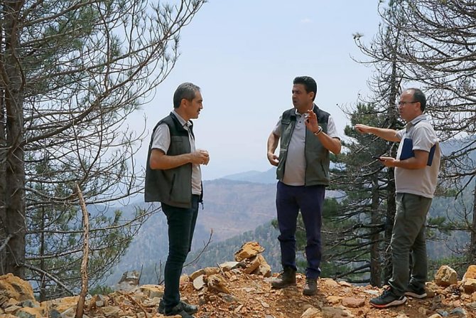 Köyceğiz’de Yanan Ormanlarda Yaralar Sarılıyor