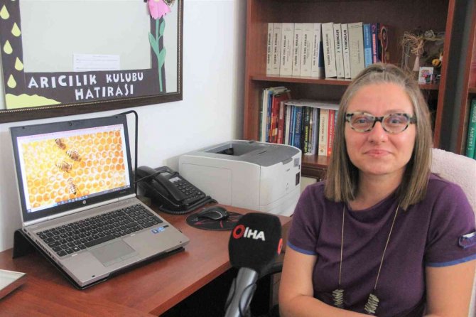 Türkiye’de İlk Kez Arıların Davranışı Araştırıldı