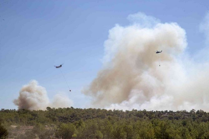 Mobil Mutfak Tırı Yangın Bölgesinde