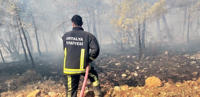 Büyükşehir İtfaiyesi Mersin’de Alevlere Müdahale Etti