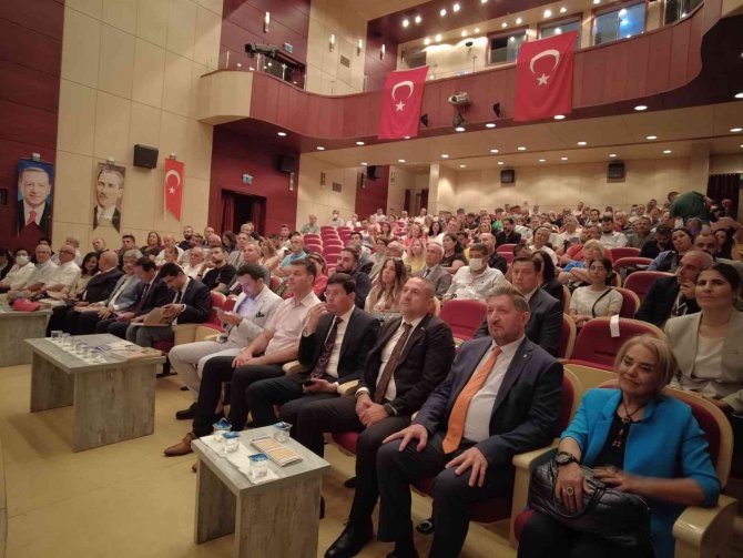 Profesörler Nazilli İçin Konuştu