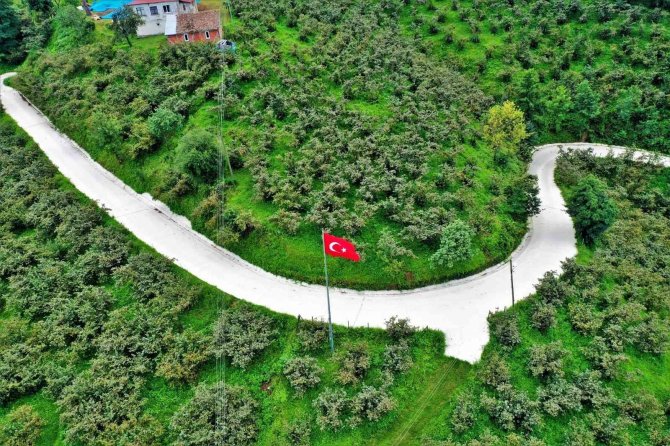 Altınordu’da Beton Yol Çalışmaları Sürüyor