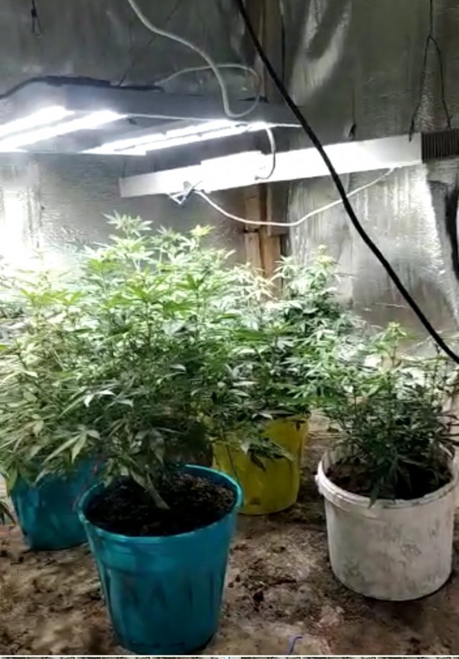 Samsun’da Uyuşturucu Operasyonu: Baba-oğul Tutuklandı