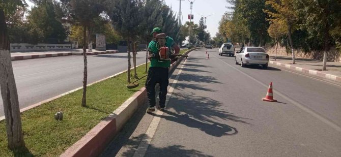 Siirt Belediyesi, Temizlik Ve Bakım Çalışmalarına Devam Ediyor