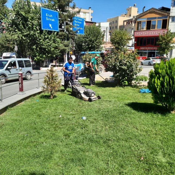 Siirt Belediyesi, Temizlik Ve Bakım Çalışmalarına Devam Ediyor