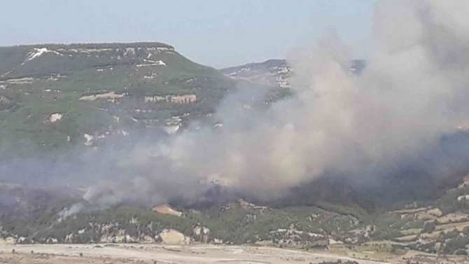 11 Helikopter, 9 Uçak Alevlere Müdahale Ediyor