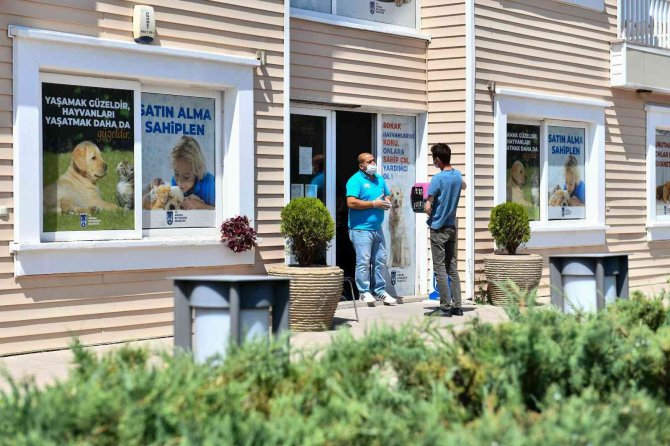 Ankara’da 4 Ayda 7 Bin 459 Sokak Hayvanı Kısırlaştırıldı