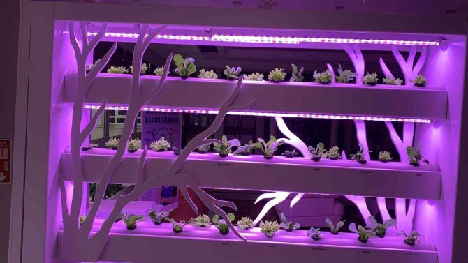 Atso’dan Tarım Teknolojileri Girişimcilik Ve İ̇novasyon Merkezi