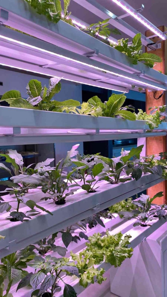 Atso’dan Tarım Teknolojileri Girişimcilik Ve İ̇novasyon Merkezi