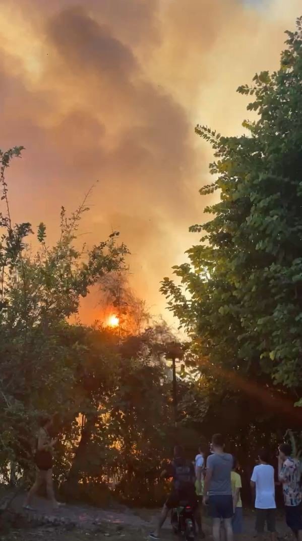 Antalya’da Plaja Yakın Bölgede Çıkan Yangın Korkuttu