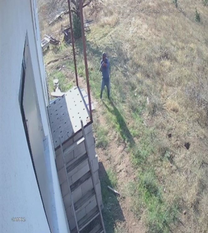 Çiftlikte Dehşet Saçtılar, 2 Köpeği Tüfekle Katledip, 2’sini De Zehirlediler