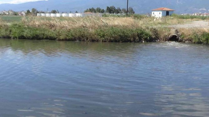 Edremit Çayı’ndan Kötü Kokular Geliyor