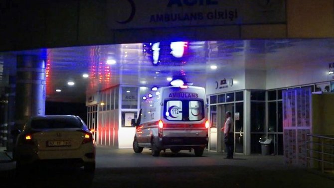 Bingöl’de Yine Ayı Saldırısı: Yaralanan Çoban Hastaneye Kaldırıldı