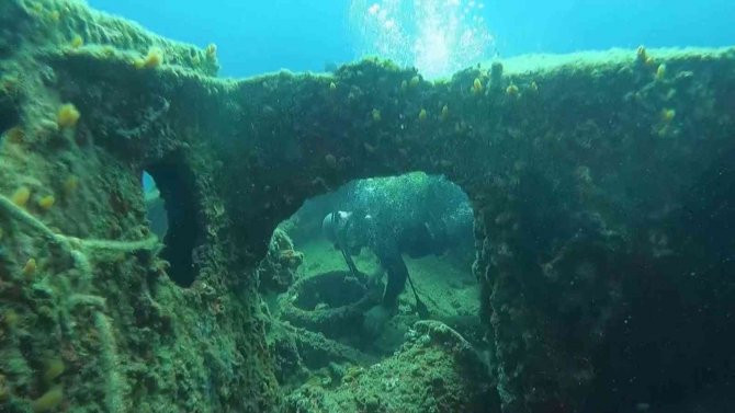 Yunanlılara Kafa Tutan Türk Balıkçı, Çanakkale Savaşları’ndan Kalma ‘Lundy’ Batığına Daldı