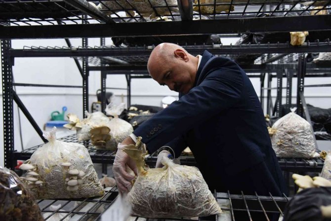 Tarımsal Atıkların Değerlendirilmesi Alanında Rol Model