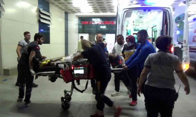 Balık Sevgisi Canından Etti