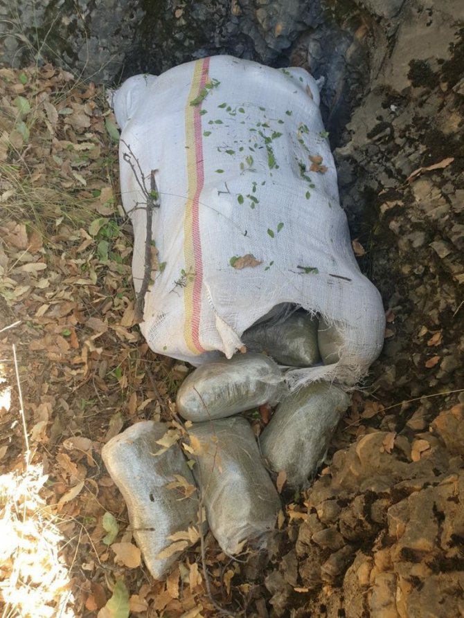 Terör Örgütü Pkk’nın Finans Kaynaklarına Darbe: 1 Milyon 493 Bin Kök Kenevir Ele Geçirildi