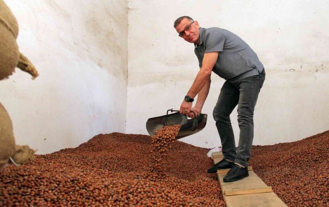 Üreticiler Tmo’ya Yöneldi