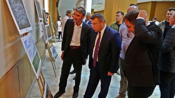 Yüksekova’da ‘Tarım, Orman Ve İ̇nsan’ Konulu Sergi