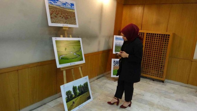 Yüksekova’da ‘Tarım, Orman Ve İ̇nsan’ Konulu Sergi