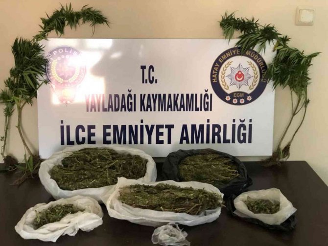Hatay’da Uyuşturucu Operasyonları