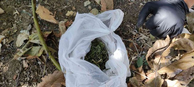 Hatay’da Uyuşturucu Operasyonları