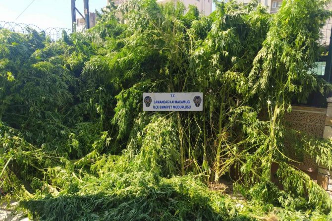 Hatay’da Uyuşturucu Operasyonları