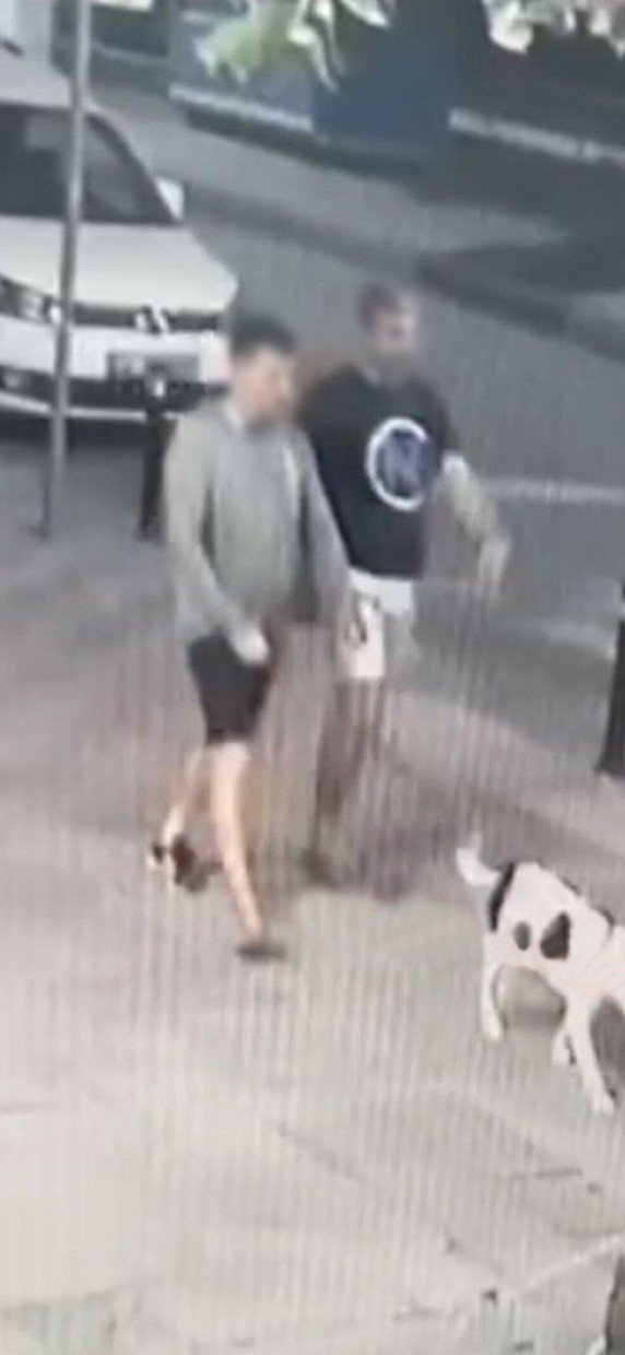 Kediyi Parçalayan Pitbull Cinsi Köpeğin Sahibi Yakalandı