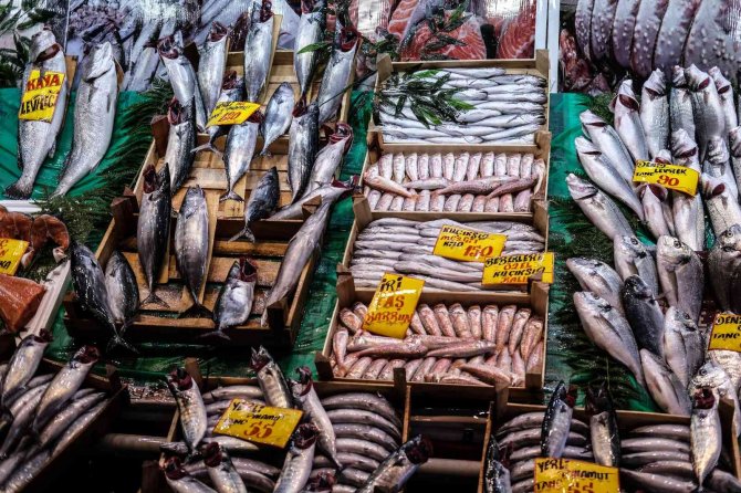 İ̇stanbul’da Tezgahlarda Balık Çeşitliliği Yaşanıyor