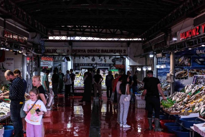 İ̇stanbul’da Tezgahlarda Balık Çeşitliliği Yaşanıyor