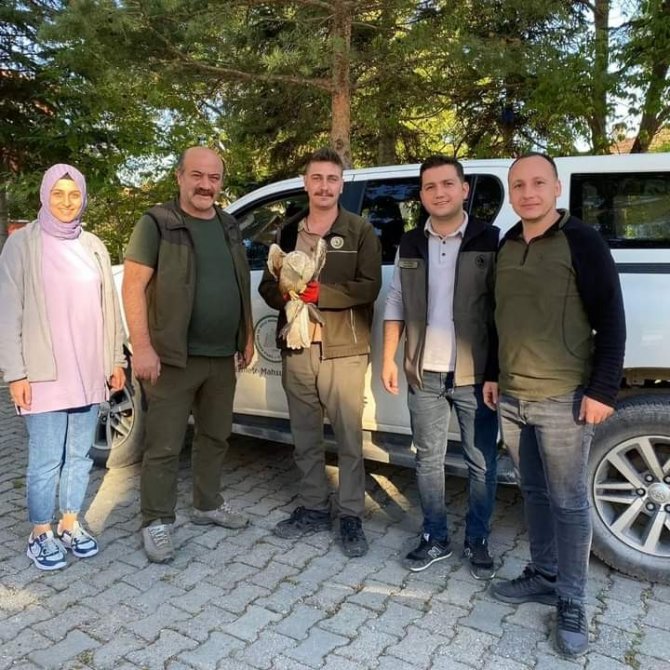 Vatandaşların Bulduğu Yaralı Yavru Kartal, Koruma Altına Alındı