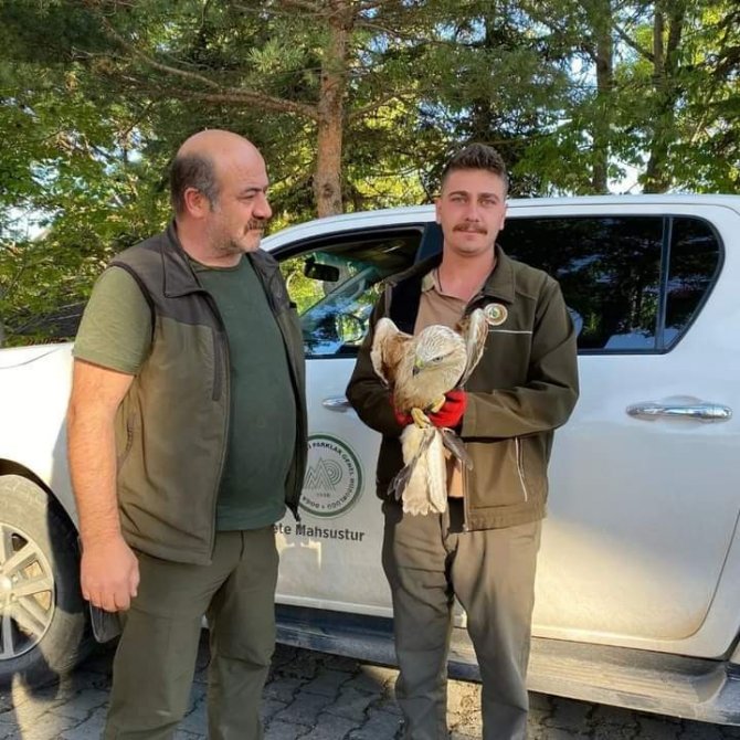 Vatandaşların Bulduğu Yaralı Yavru Kartal, Koruma Altına Alındı