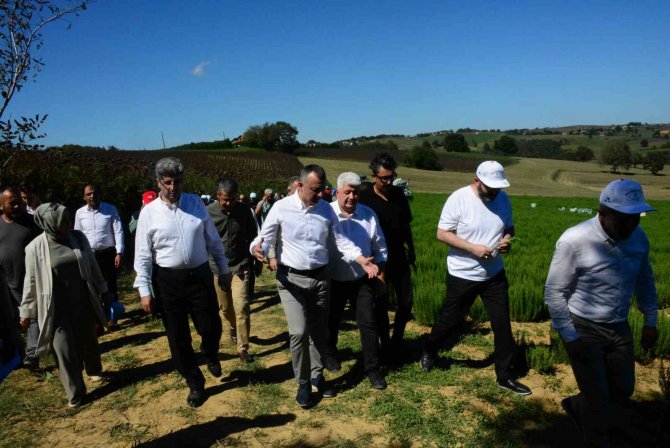 Bu Adım Türkiye’nin Ulusal Gıda Güvenliği Stratejisi İçin Atıldı