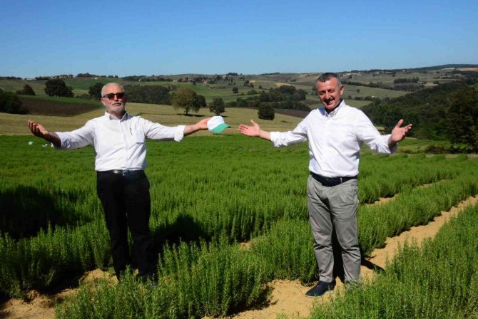 Bu Adım Türkiye’nin Ulusal Gıda Güvenliği Stratejisi İçin Atıldı