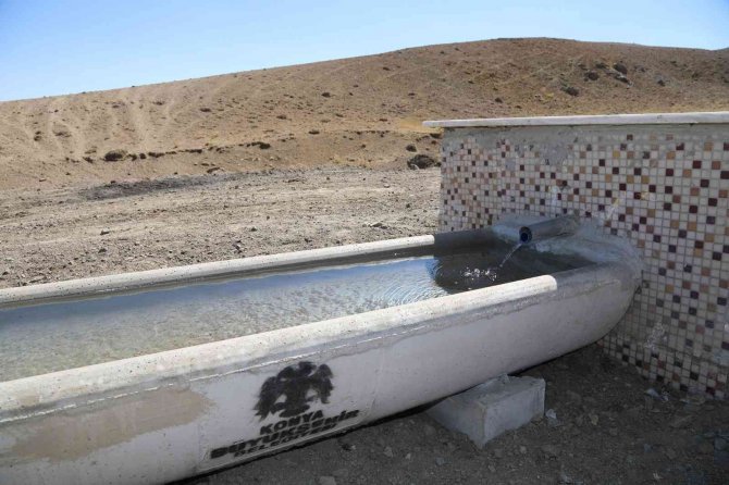 Konya Büyükşehir’in Hazırladığı Sıvatlar Hayvanlar İçin Can Suyu Oluyor