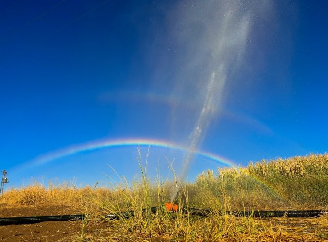 Tarım Sulama Borusu Patladı, Oluşan Gökkuşağı Görsel Şölen Oluşturdu
