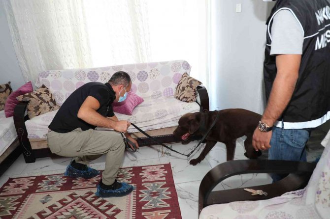 Mersin’deki Uyuşturucu Operasyonunda Gözaltı Sayısı 67’ye Çıktı