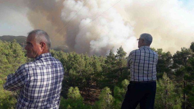 Muğla-denizli Sınırındaki Orman Yangını Devam Ediyor