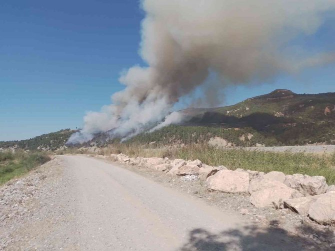 Muğla-denizli İl Sınırında Orman Yangını