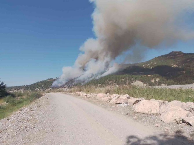 Muğla-denizli İl Sınırında Orman Yangını