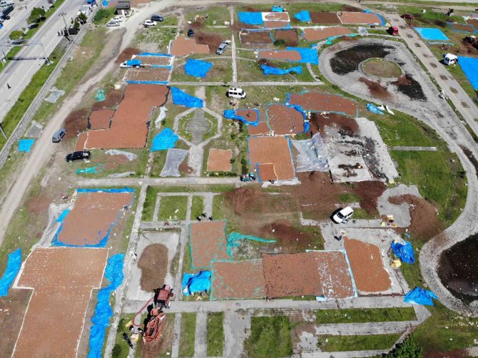 Ordu Fındık Harmanı Gibi