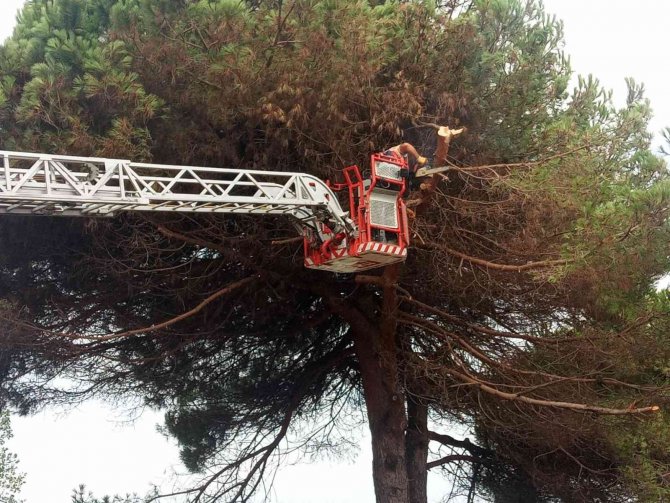 Ünye’de Okullar Yeni Eğitim Yılına Hazırlanıyor