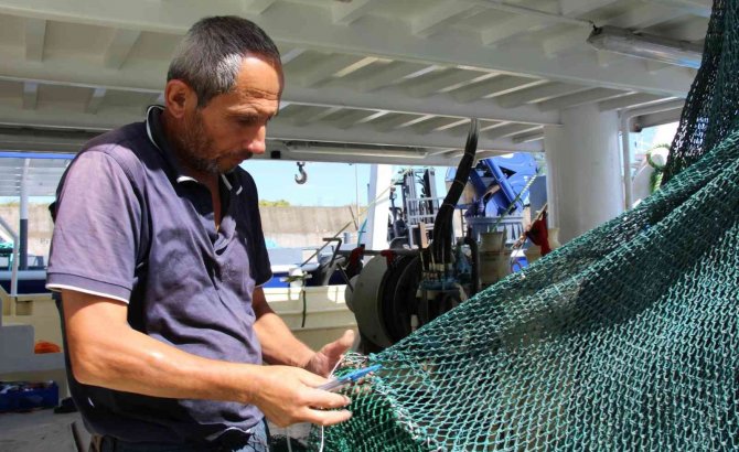 Palamut Yüz Güldürüyor