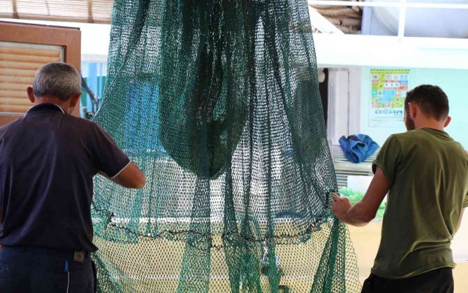 Palamut Yüz Güldürüyor