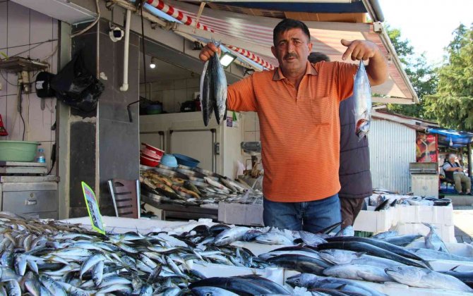 Palamut Yüz Güldürüyor
