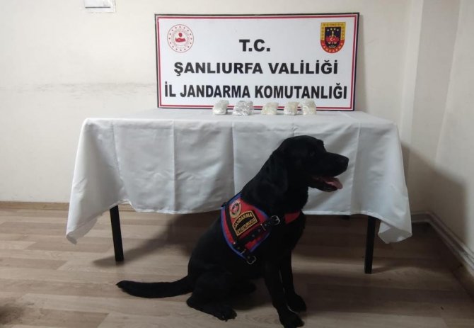 Şanlıurfa’da Kaçakçılık Operasyonu: 5 Gözaltı